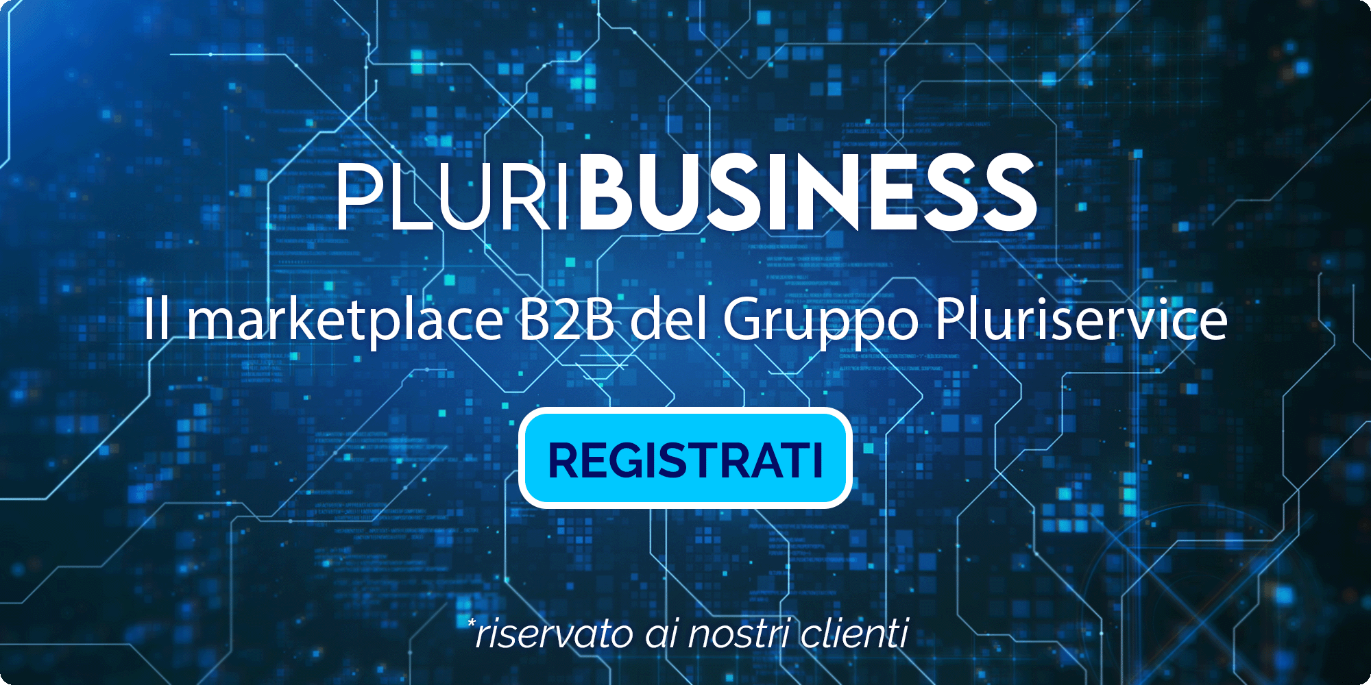 PLURIBUSINESS B2B Pluriservice