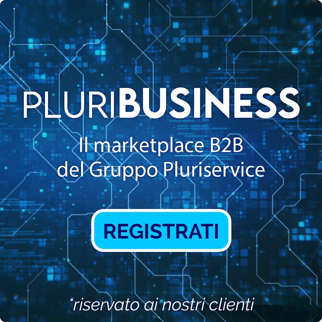 PLURIBUSINESS B2B Pluriservice